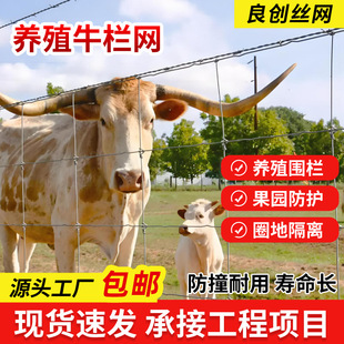 ���ԭţ�ھWȦ���Bֳ���ھW��\�F�z�W���@�r���o�ھW䓽z�W����