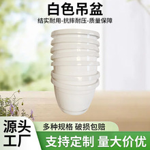 家用白款多肉花盆绿植园艺用盆室内软吸塑pp育苗盆塑料白吊盆花盆