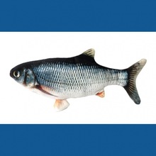 ���R�d늄��~��؈�����~�������~usb��������~؈���늄ӹ����