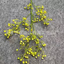 С̥ռٻmСrջY÷滨Ҿӿ͏db[Žϻ