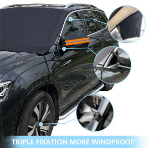 Snow Car Cover