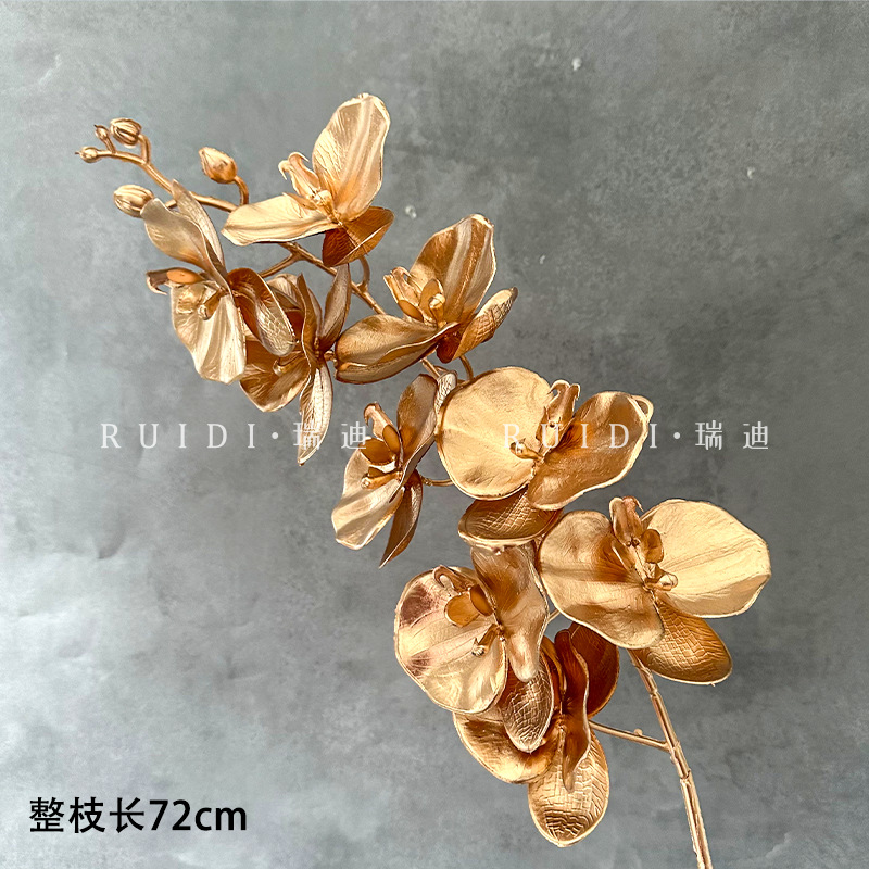 아홉 머리 호접란—J