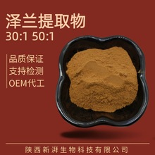 泽兰提取物50:1 泽兰浓缩粉 化妆品保健品原料 品质保证现货包邮