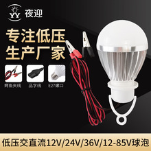 DC12V车铝球泡灯夹子插头led低压夜市移动地摊电瓶车灯泡批发