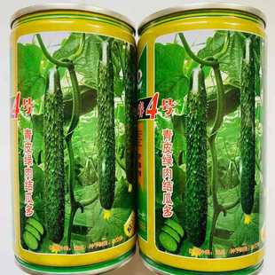 Xinjinyan No. 4 Cucumber Seeds, High-Yielding Green-Heart Long Cucumber Seeds, Cold-Resistant and Heat-Resistant Original Four-Season Vegetables, Early Spring Larvae