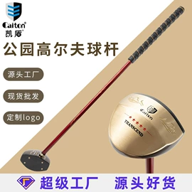 高尔夫配件;高尔夫球;高尔夫球钉