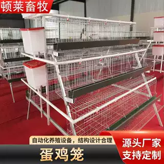 阶梯鸡笼子两层三层阶梯式鸡笼T型蛋鸡笼钢丝鸡笼鸡舍养殖蛋鸡笼
