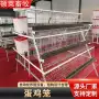 三层养殖两层阶梯蛋鸡笼