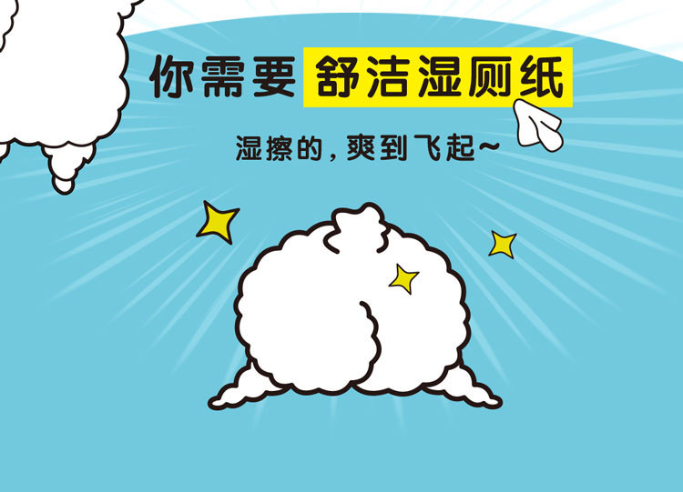 舒洁湿厕纸家庭装40片便携洁阴私处房事卫生湿巾清洁2694整箱批发详情3