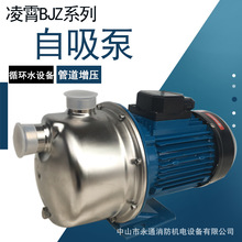 220V增压水泵BJZ075太阳能屋顶水箱供水加压泵不锈钢射流式自吸泵