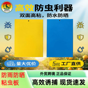 ճ�x�及���T�x���S�{һ�w�p���ճ��ˮ�����T�����@�羳�S�ҬF؛