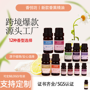 Aromatherapy Essential Oil Refill Liquid Cross-Border Hot Sale New Rose Single Essential Oil Hotel Horizontal Humidifier Aromatherapy Fragrance