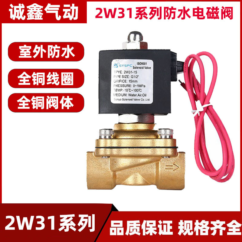 2W31-15 2W31-20 2W31-25 Two-Position Two-Way Solenoid Valve Water Valve Air Valve Outdoor Waterproof and Anti-Fog Model