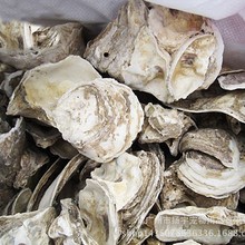 �~���^�V��������򺚤�\�����ÞV��򺚤����PHֵĵϠ��