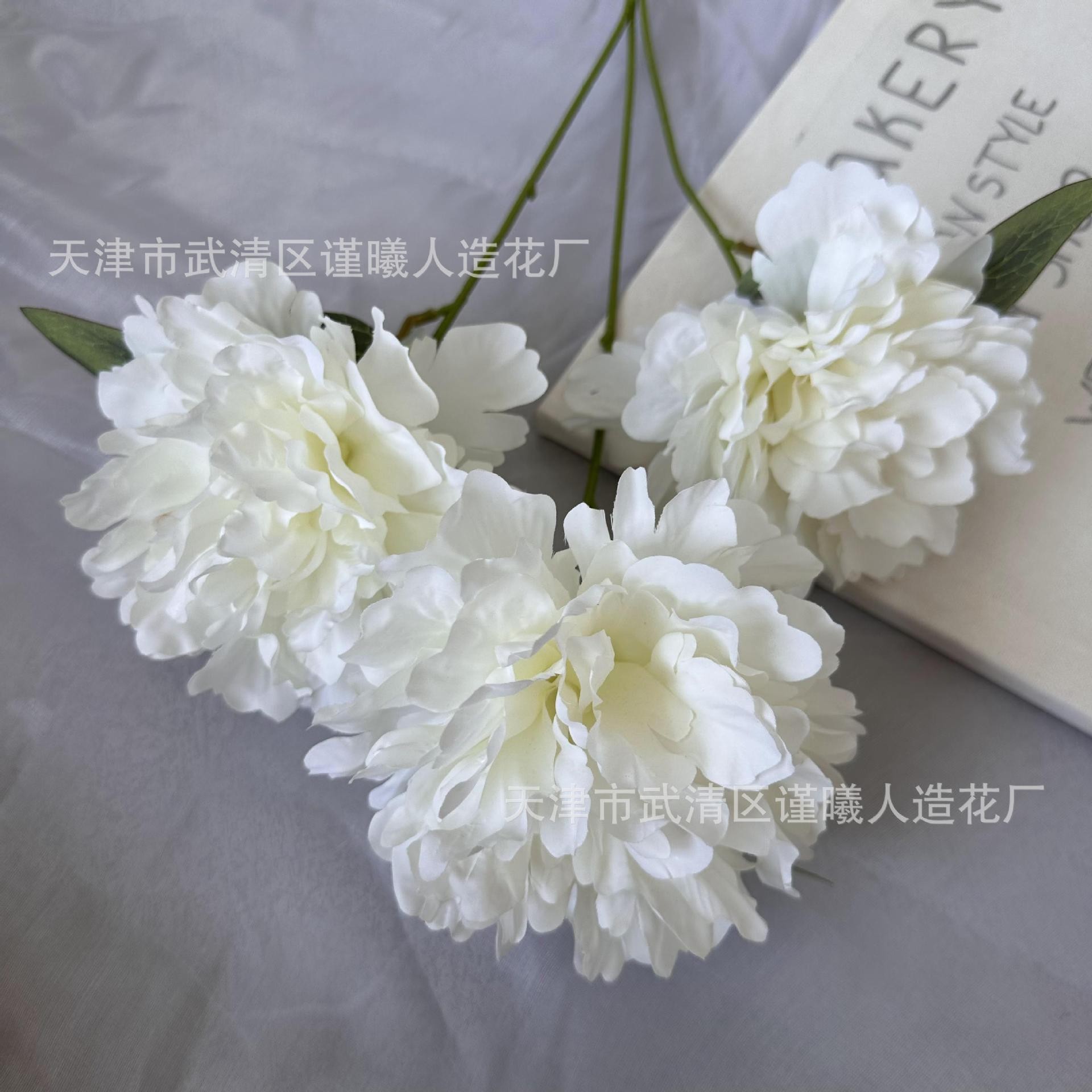 큰 모란 3개