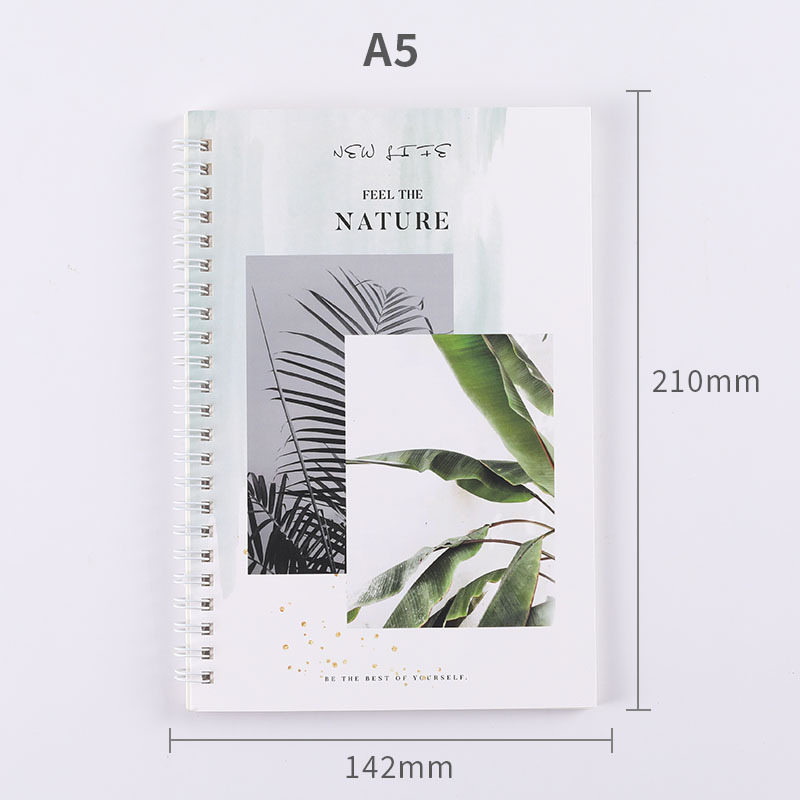 Libro de hojas sueltas fresco y fresco al por mayor