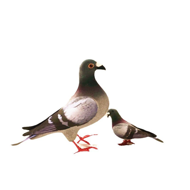 Симуляционная маленькая голубка серый голубь pigeon pigeon pigeon квадратный голубь турт dove реквизит фотография садовые аксессуары голубь птичья модель