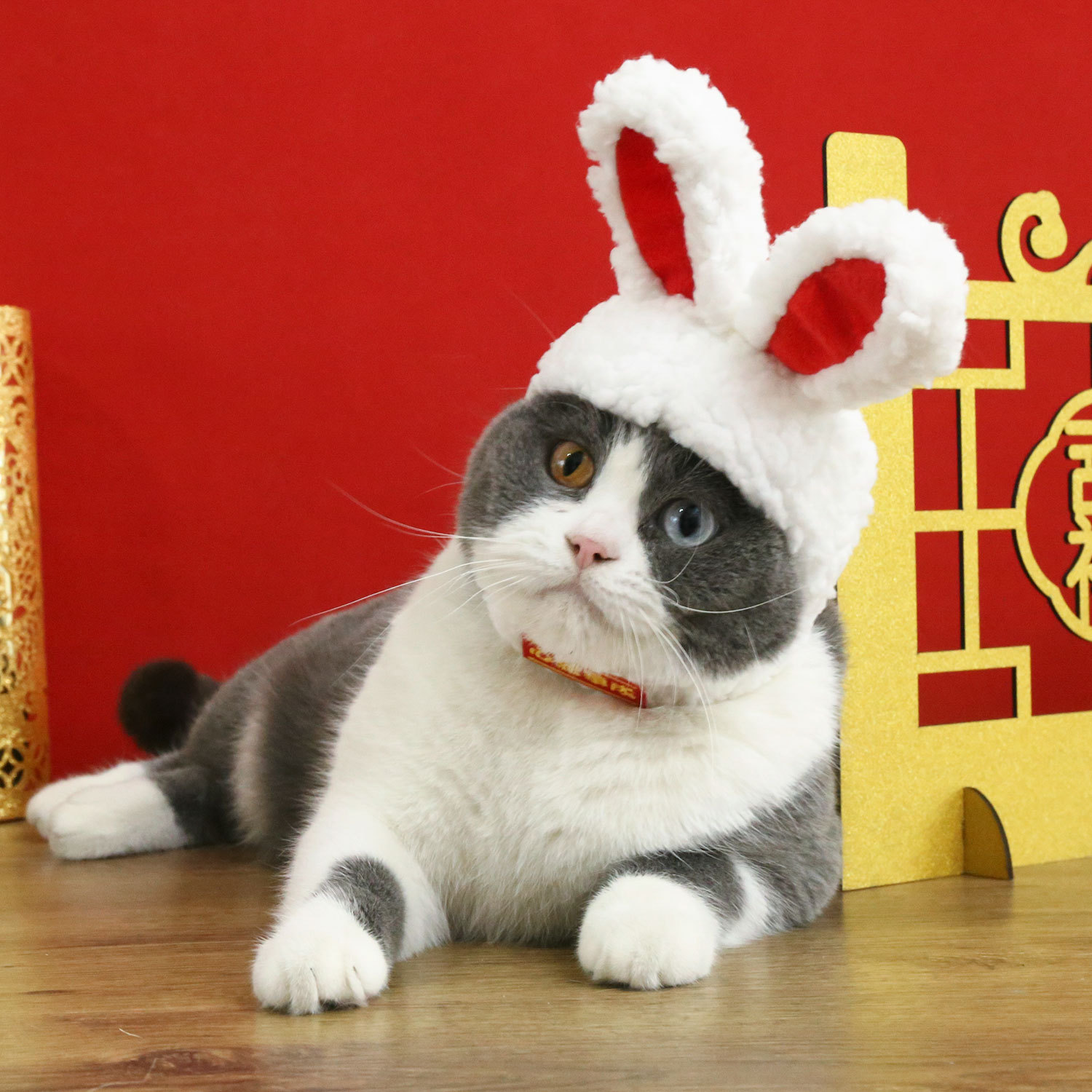 2023 año de conejo piel de cordero Orejas de conejo mascota tocado flor feliz paz bordado cálido gato Festival de Primavera sombrero