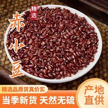 ��ș�ĳ�С�����x�L����С���tС������s�Z�Ҝ���������޲����