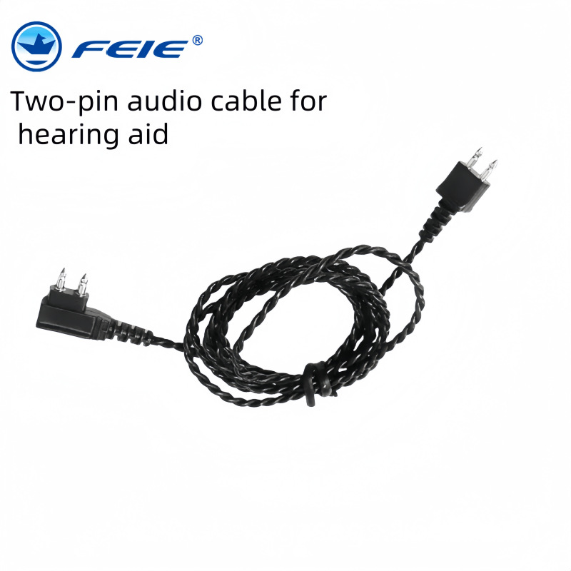 Earphones