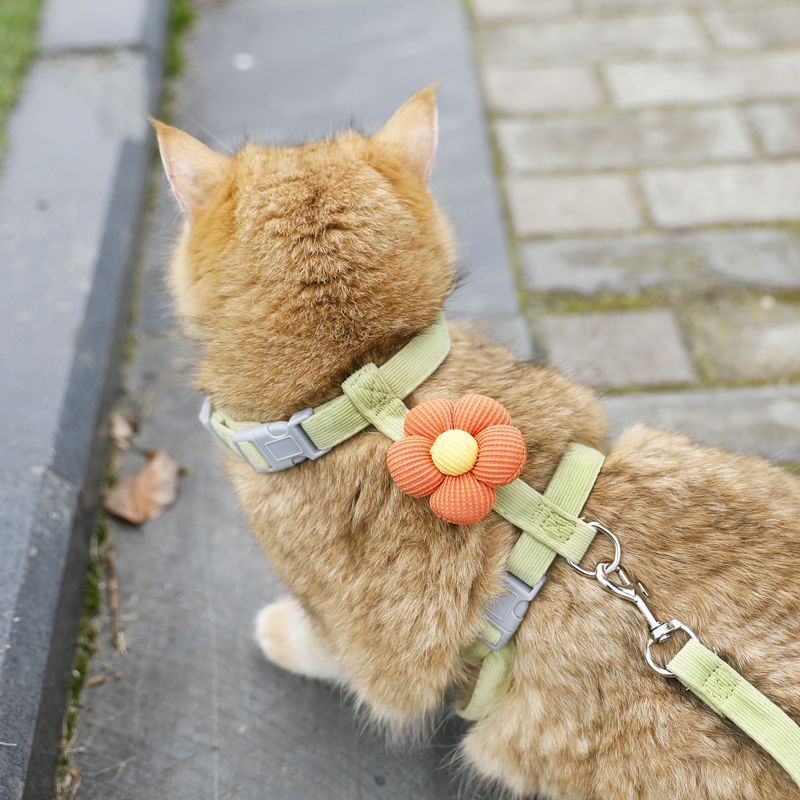 猫咪卡通牵引绳外出挣脱工字型调节宠物专用布偶泰迪小型绳子犬用|undefined