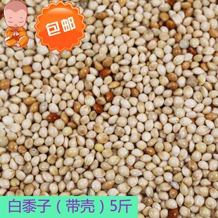 �����ӎ����}�����P��Ƥĵ���W�^�Bʳ�Z��ϰ��F���Z�����^5��