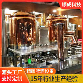 现货供应300L度假村/民宿/啤酒屋精酿啤酒设备 不锈钢精酿啤