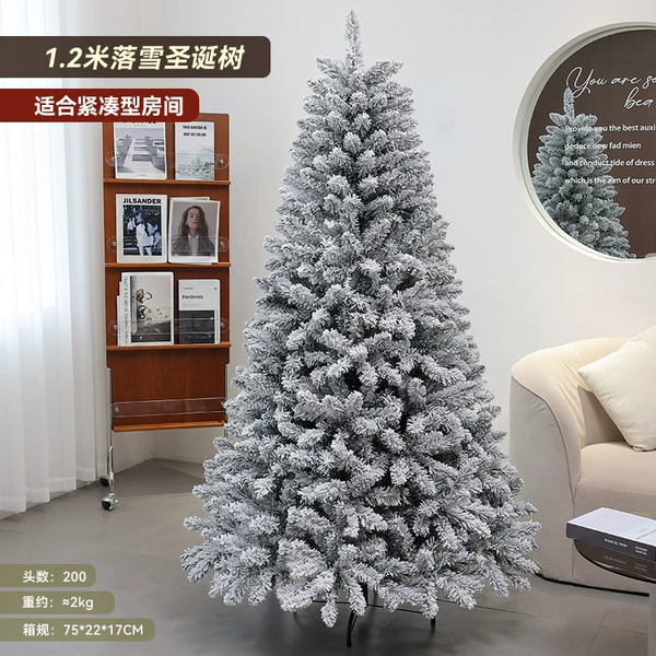 1.2 meters of ordinary snow tree