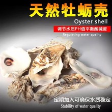 �~���^�V����򺚤 ĵϠ���\�����^�V����Ȼ��򺚤 ����PHֵ