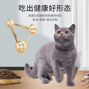 Ӣ��؈�{؈ͨ�üZ����؈��~��Ȼ�Z��Óë����ȥ�I��5���b