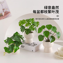 ����Gֲ�b�С���Կ͏d�[�������Gֲ�����ٻ��҃��辰�[���k����