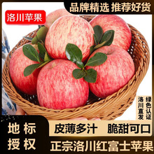 正宗陝西特產洛川紅富士蘋果新鮮水果當季精選整箱源產地直發直銷