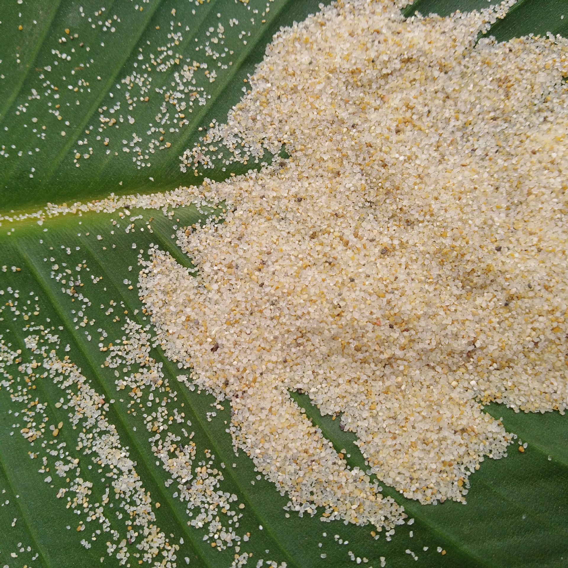 30-50目圆粒海沙水洗石英砂 排球场沙滩广场沙坑儿童公园沙池白沙