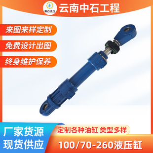 CGT3���U�Ͳ��Һ���͸���ʿ��100/70-260Һ����