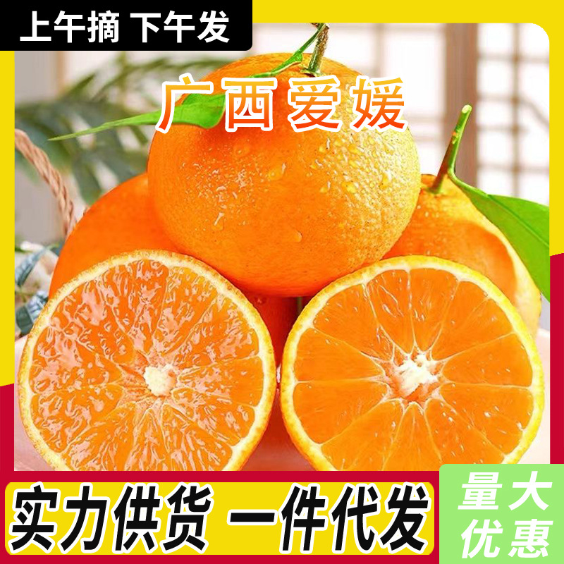 四川爱媛果冻橙新鲜现摘橙子水果当季整箱5斤包邮批发应季甜柑橘