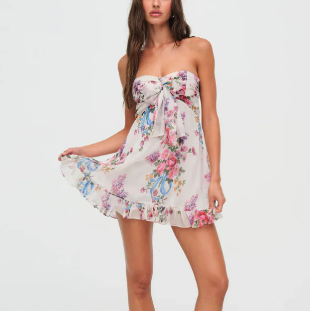 Foreign trade sources of cross-border Europe and the United States new sexy French printing translucent floral bra A- line skirt dress
