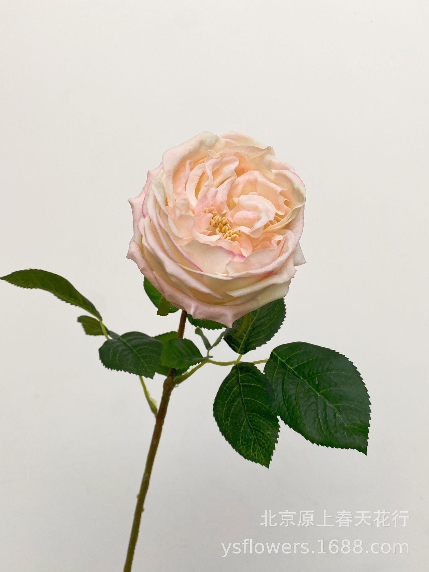 Siente artificial hidratante atin Rose Bud Core Rose temporada accesorios de tiro flor falsa planta decorativa flor falsa