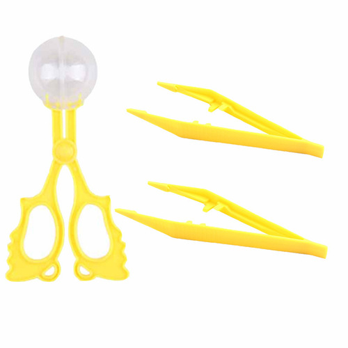 Children's Outdoor Insect Trap Set, Tongs, Butterfly Trap, Outdoor Insect Catching and Collecting, Scientific