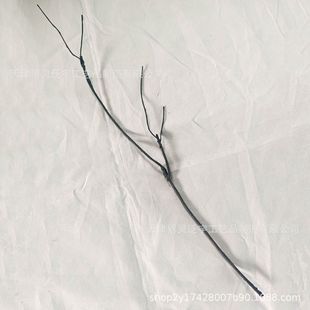 ����С��֦���滨��֦�ٻ��Gֲ��c�����}�Q������������l�l��֦