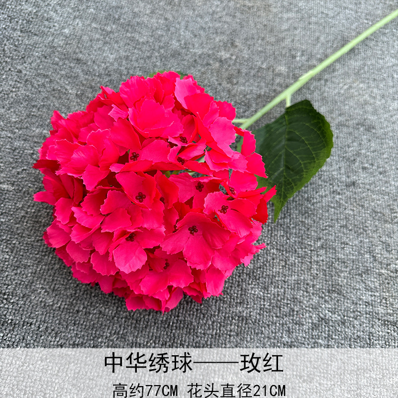 Hortensia China rosa roja