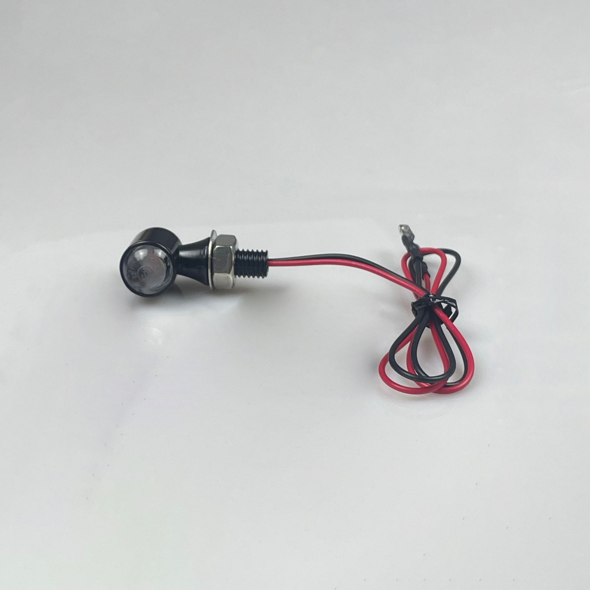 검정색 투명 껍질 1개