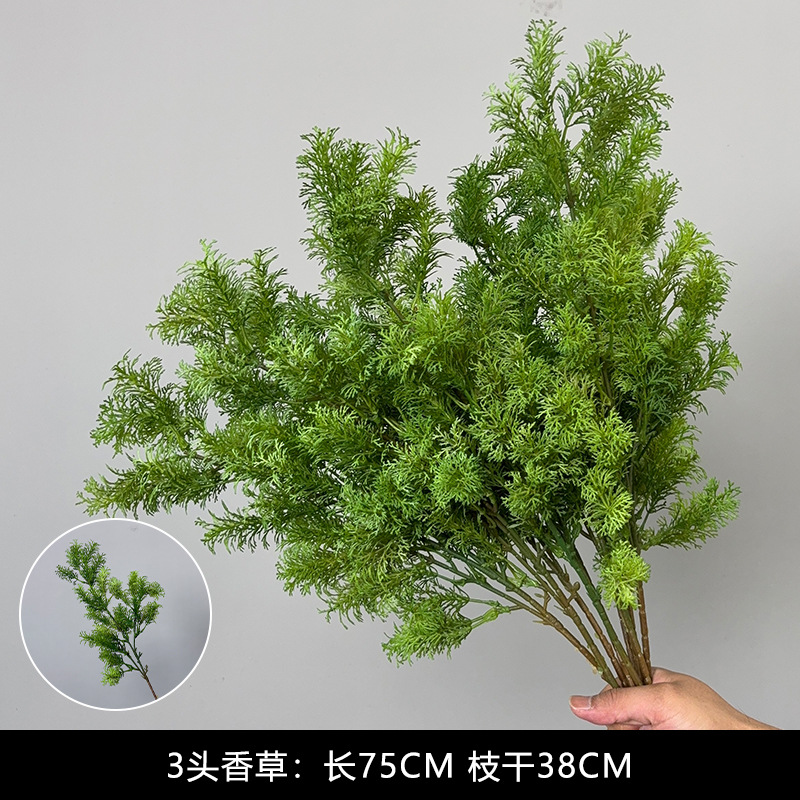 胖松绿色