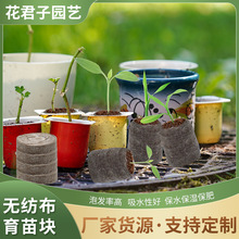 ���l�Nֲ����K���sҬ�����|���û��ܹ��߷N��������̿���I�B�K