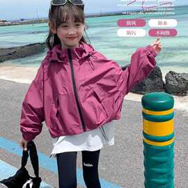 女童冲锋衣春秋款2025新款洋气儿童外套秋装小女孩运动连帽上衣潮