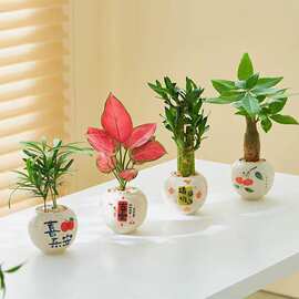 【4款家居温暖寓意好小盆栽】奶油风复古风搭配桌面小盆栽绿植无
