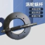 传动定制微型螺纹齿轮