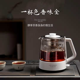 议价生活元素养生壶迷你煮茶器一键煮茶壶玻璃电茶壶保温恒温I72