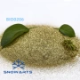 圣诞生物植物定制纤维