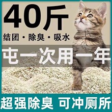 ��϶���؈��؈ɰ�����Y�F20��؈��؈ɰ�͉m����40����]���
