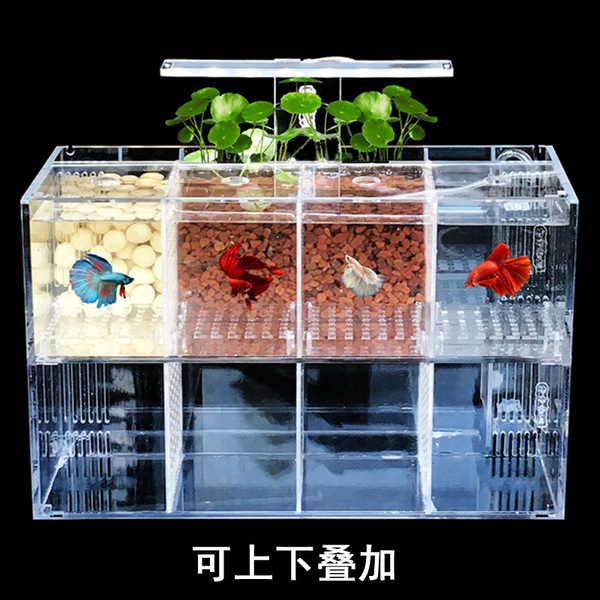 Acrylic aquarium